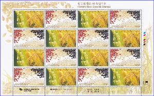 전지 - 2009년 한국의 쌀과 벼