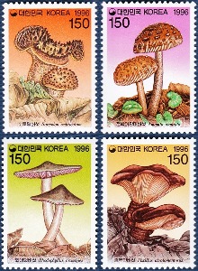 단편 - 1996년 버섯시리즈 4집 4종
