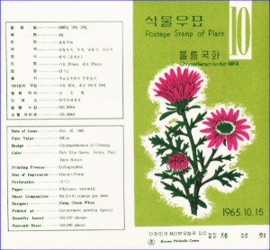 우표발행안내카드 - 1965년 식물시리즈(10) 울릉국화(접힘 없음)