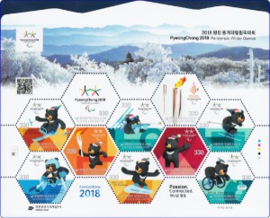 전지 - 2018년 2018 평창 동계패럴림픽대회