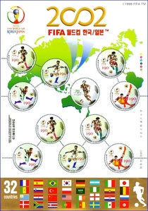 전지 - 2002년 2002FIFA월드컵 한국/일본