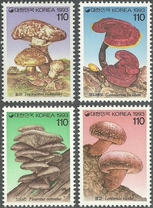 단편 - 1993년 버섯시리즈 1집 4종